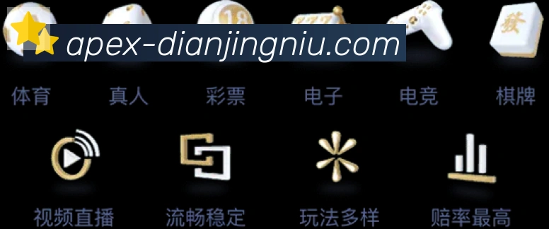 奖项4